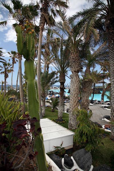 Puerto de la Cruz21.jpg